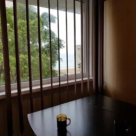 Plaja Reyna شقة كونستانتا