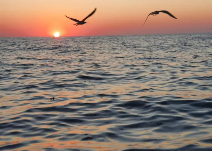 شقة Plaja Reyna كونستانتا